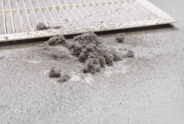 Best Ductwork Cleaning Services  in West Laurel, MD
